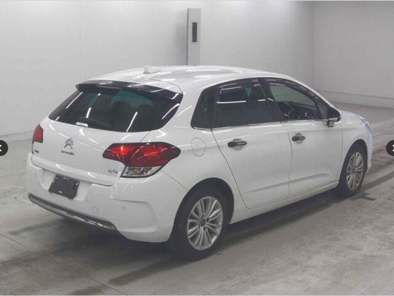 Фото донора 5