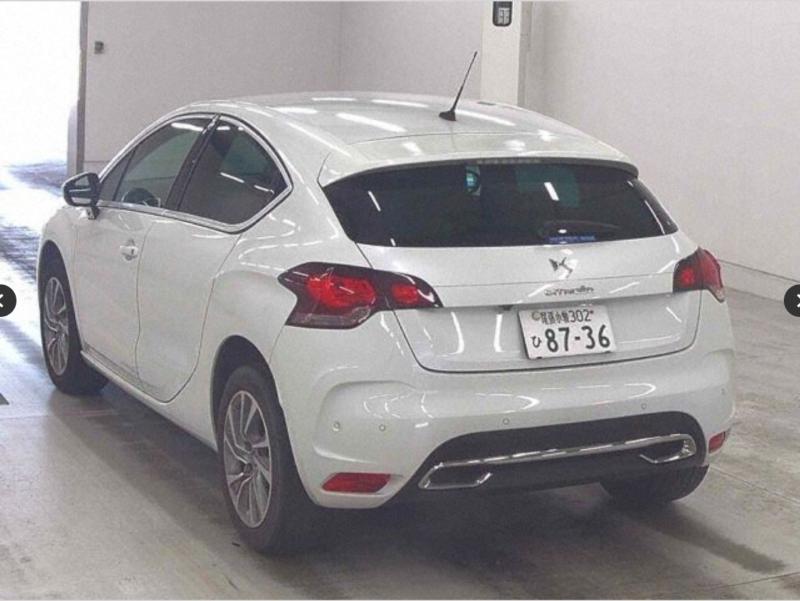 Фото донора 4