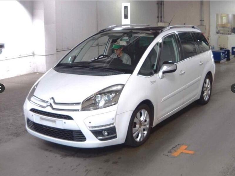 Фото донора 3