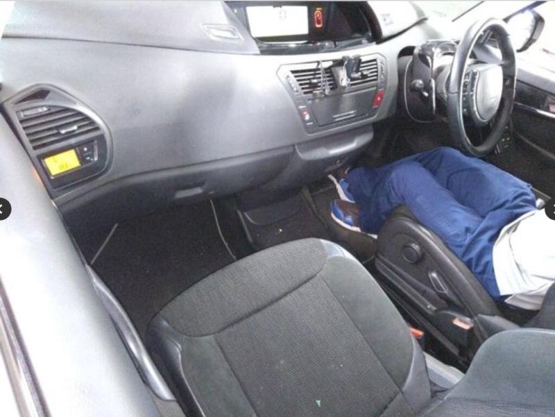 Фото донора 6