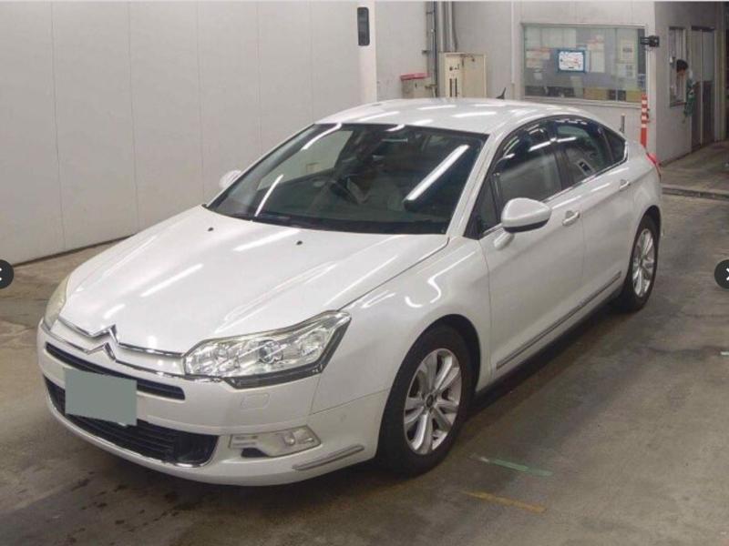 Фото донора 3