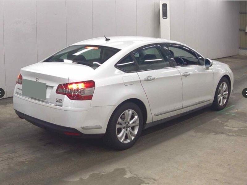 Фото донора 5