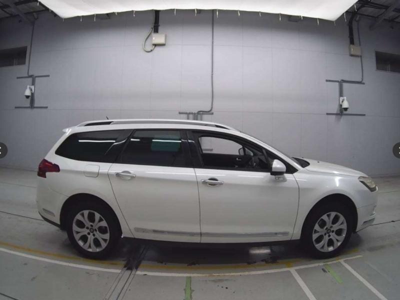 Фото донора 6