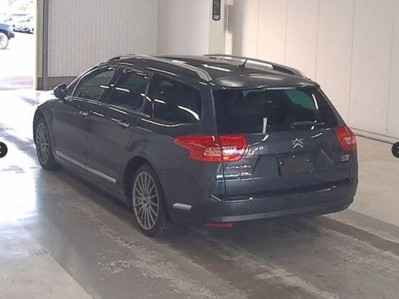 Фото донора 4