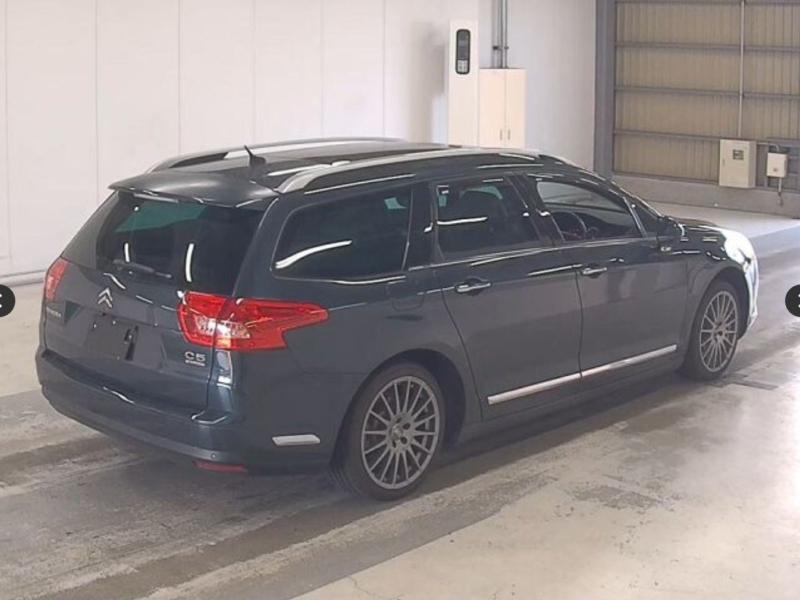 Фото донора 5