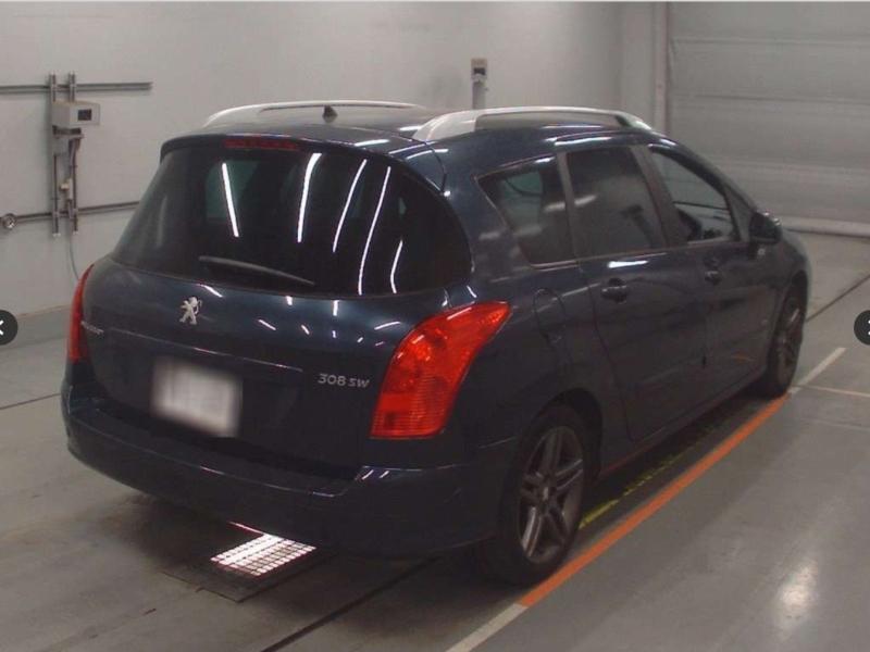 Фото донора 4