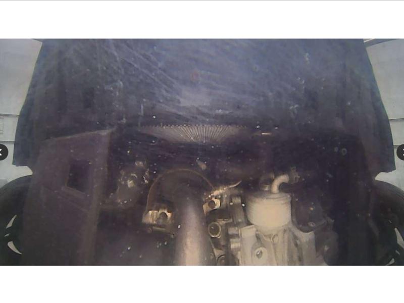 Фото донора 13