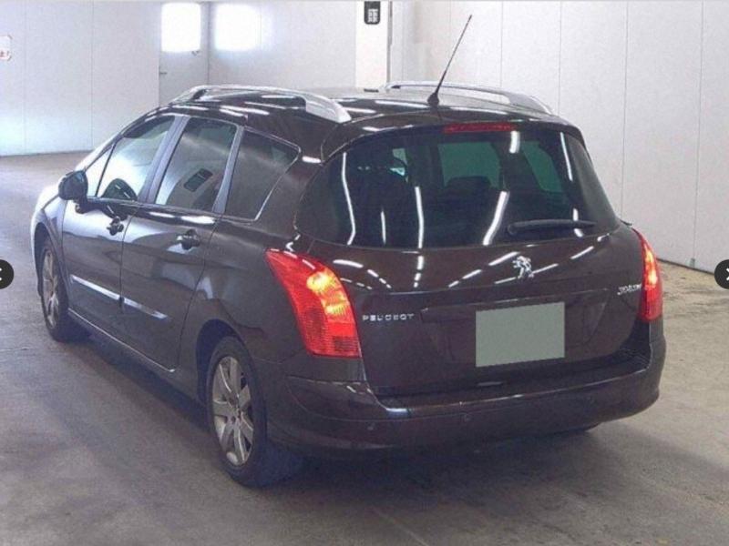 Фото донора 4