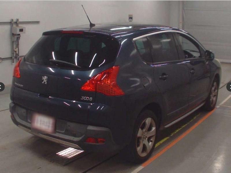 Фото донора 4