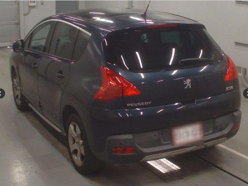 Фото донора 5