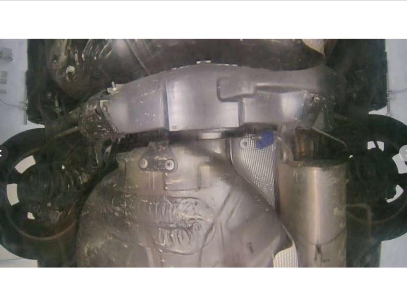 Фото донора 12