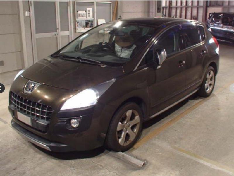 Фото донора 3