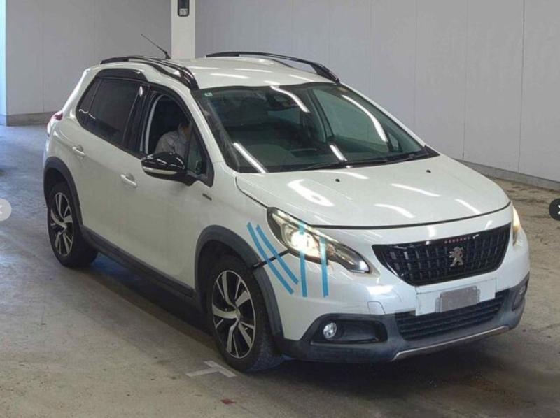 Фото донора 1