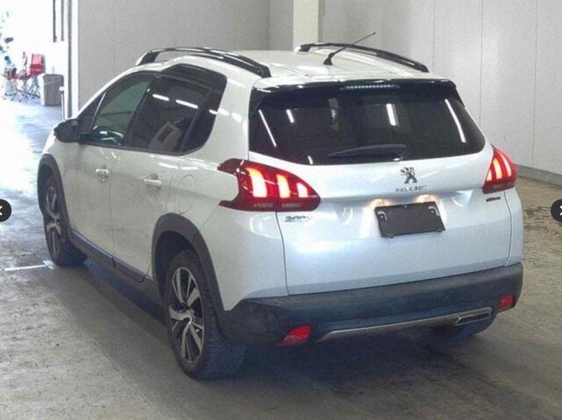 Фото донора 4