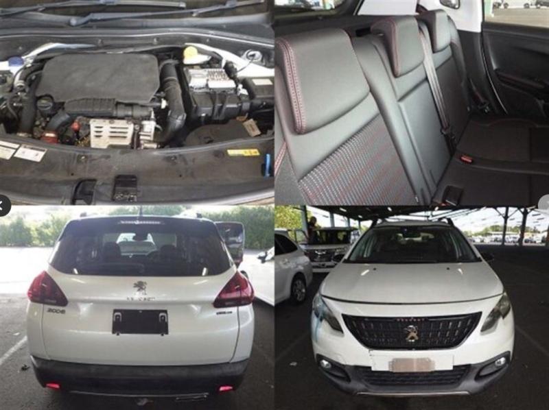 Фото донора 6