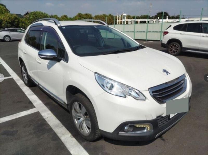 Фото донора 1