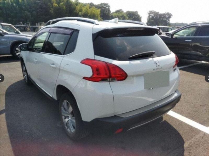 Фото донора 4