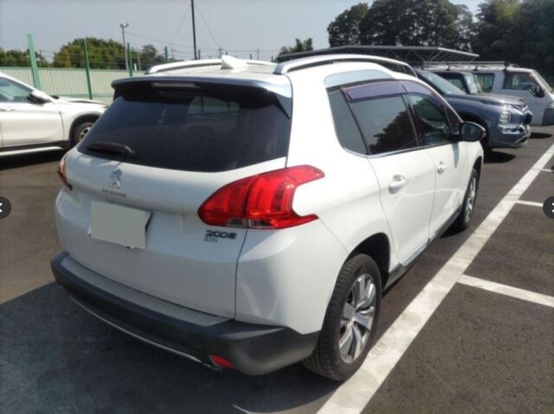 Фото донора 5