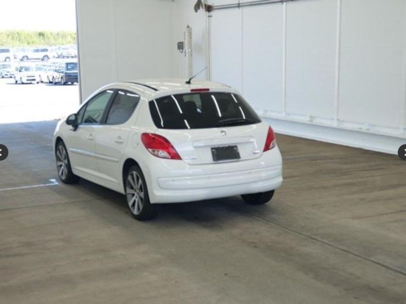 Фото донора 3