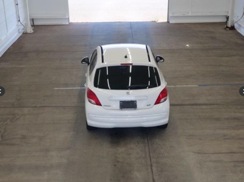 Фото донора 4