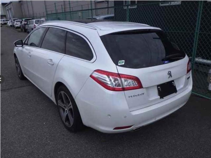 Фото донора 3