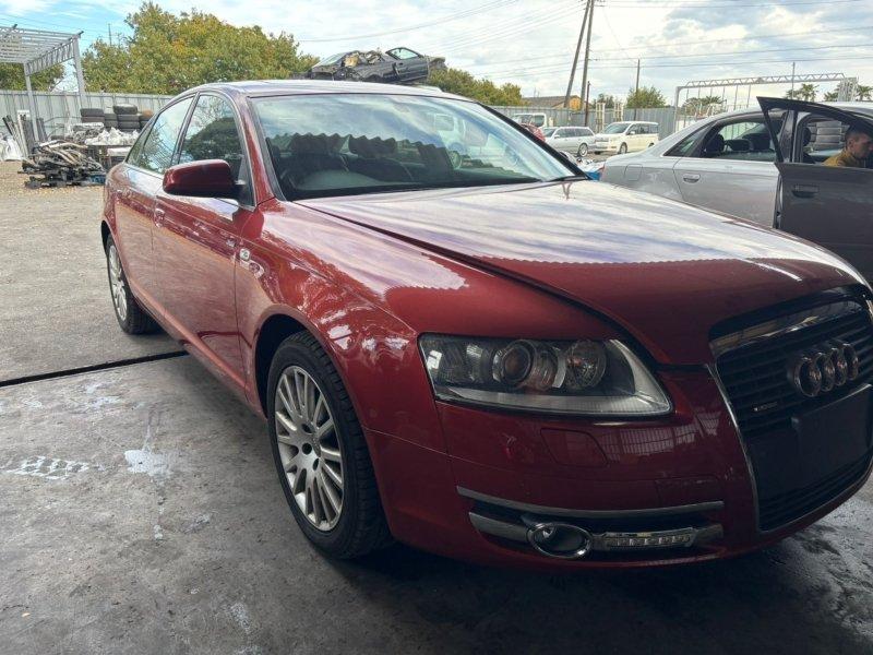 Фото донора 2