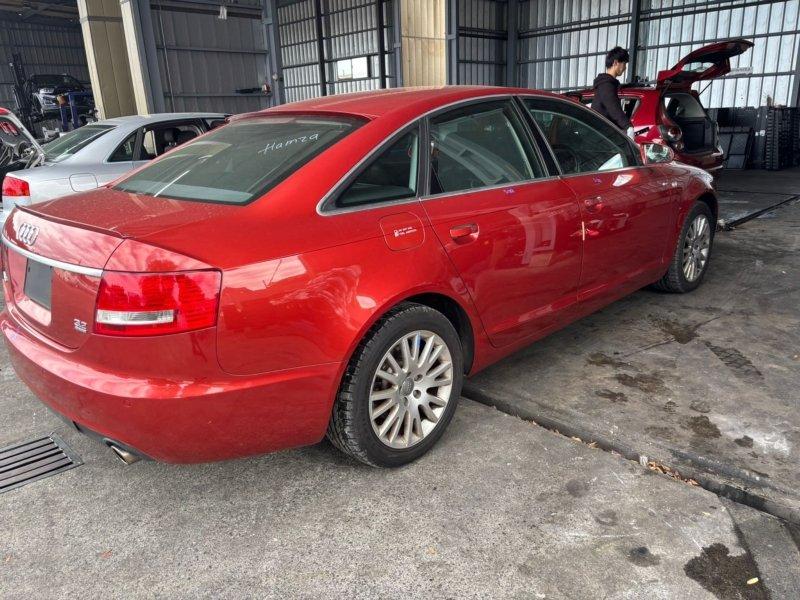 Фото донора 3