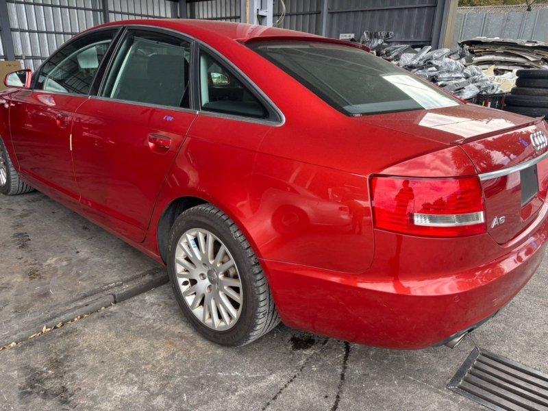 Фото донора 4