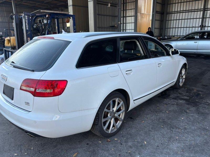 Фото донора 6