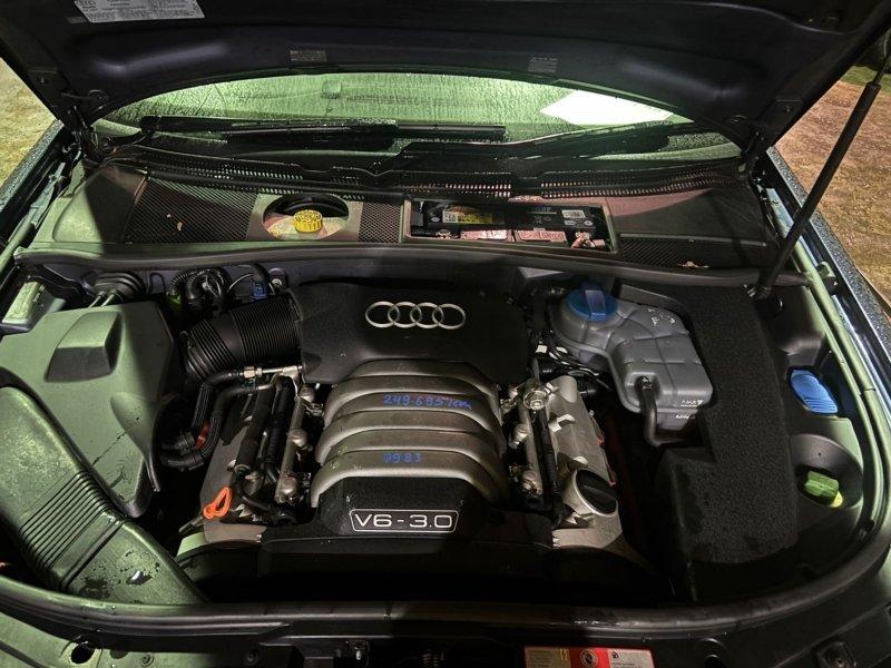 Фото донора 6