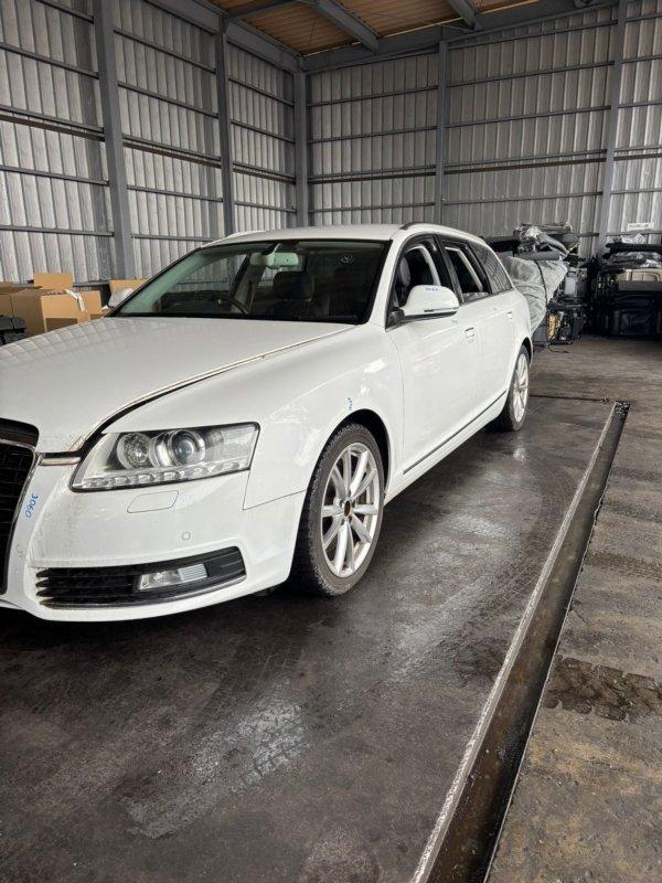 Фото донора 2