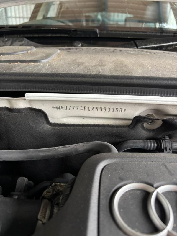 Фото донора 6