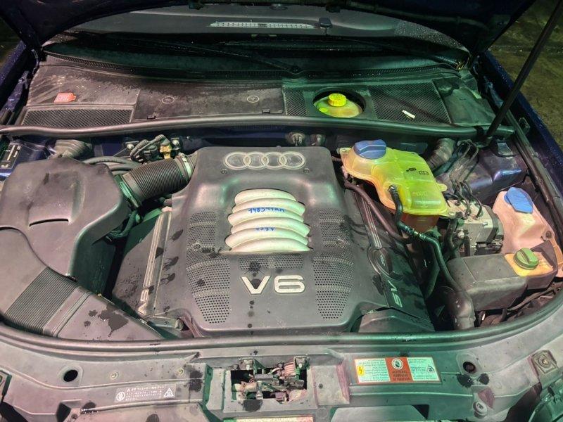 Фото донора 6