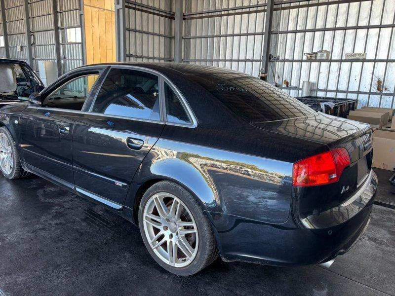 Фото донора 4