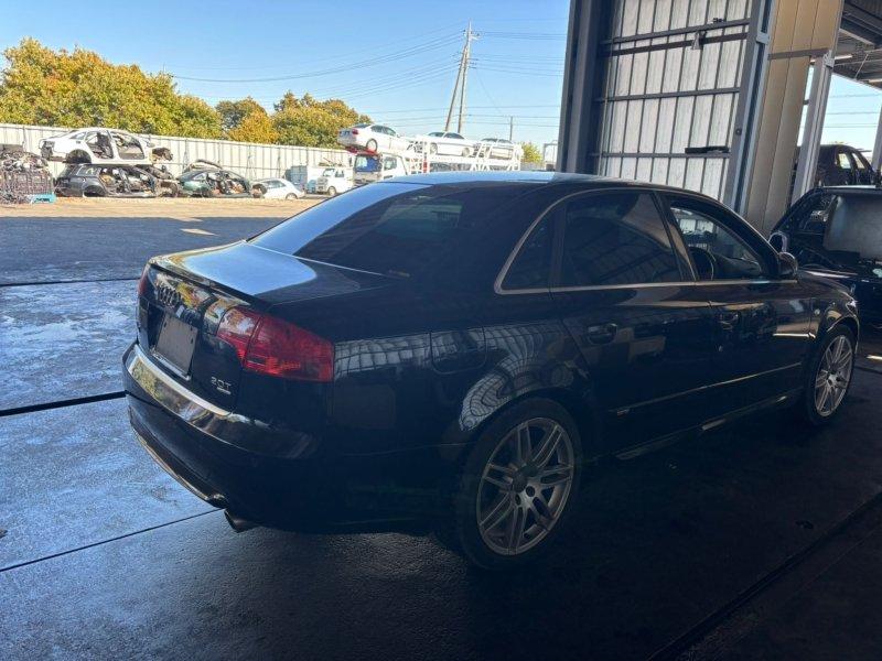 Фото донора 5