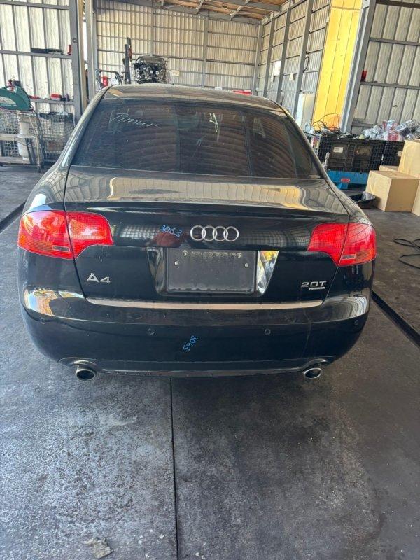 Фото донора 6