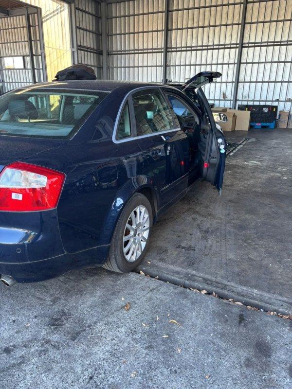 Фото донора 3