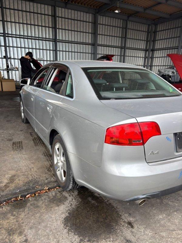 Фото донора 4