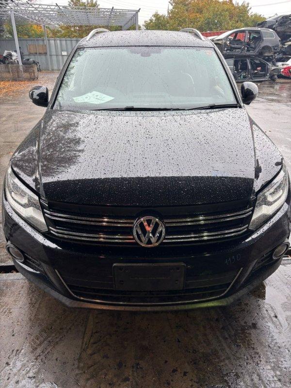 Фото донора 3