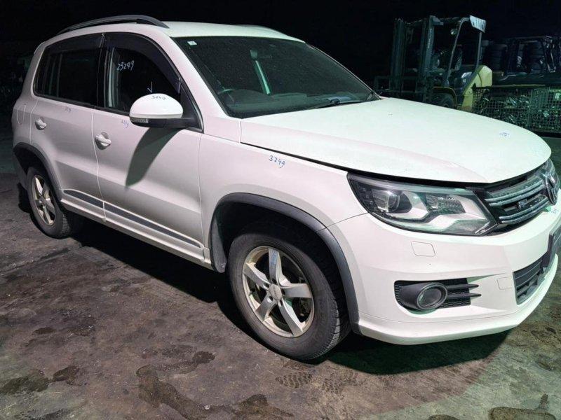 Фото донора 3