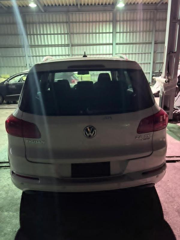 Фото донора 4