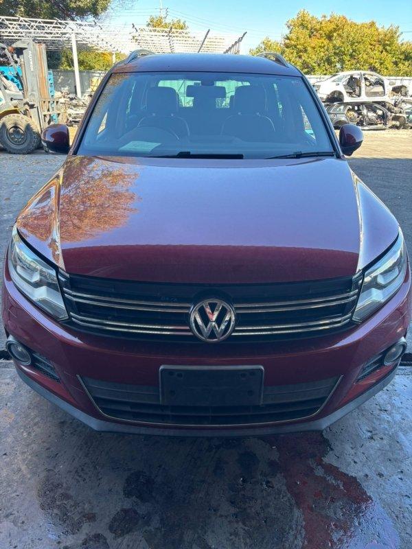 Фото донора 1