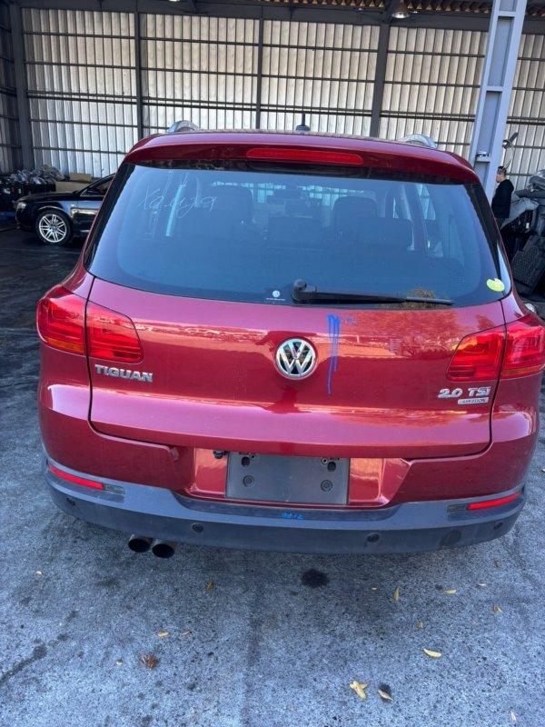 Фото донора 4