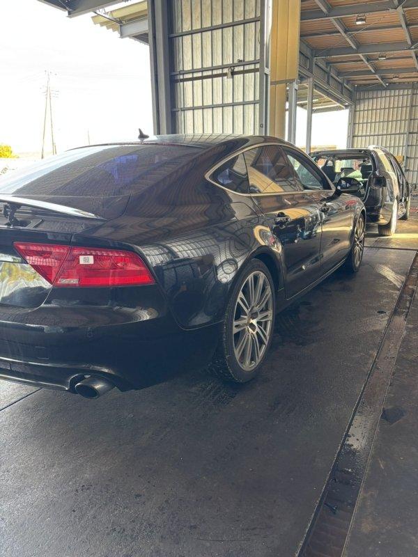 Фото донора 6