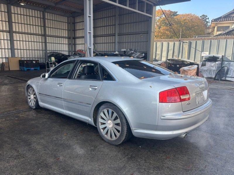 Фото донора 6