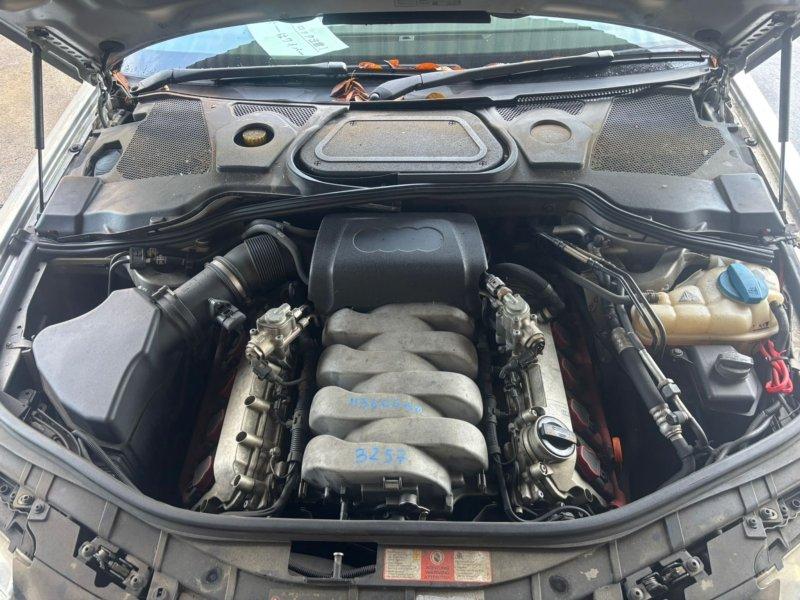 Фото донора 7