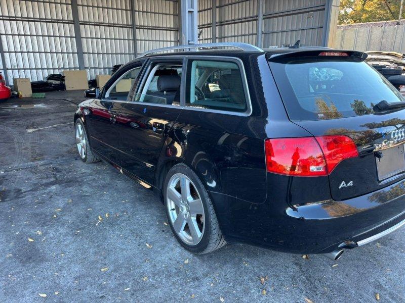 Фото донора 7