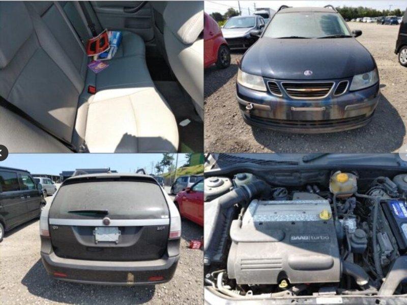 Фото донора 11