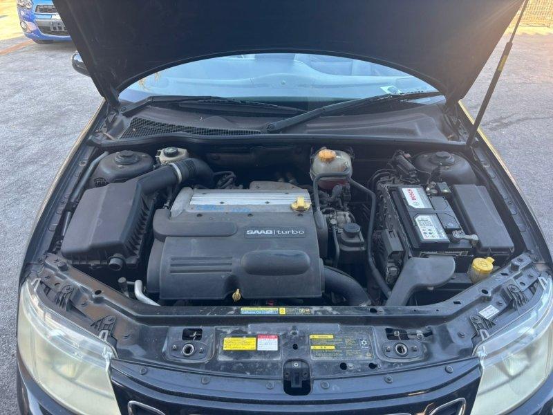 Фото донора 5