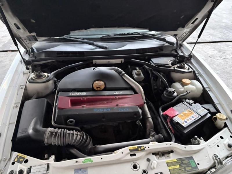 Фото донора 6